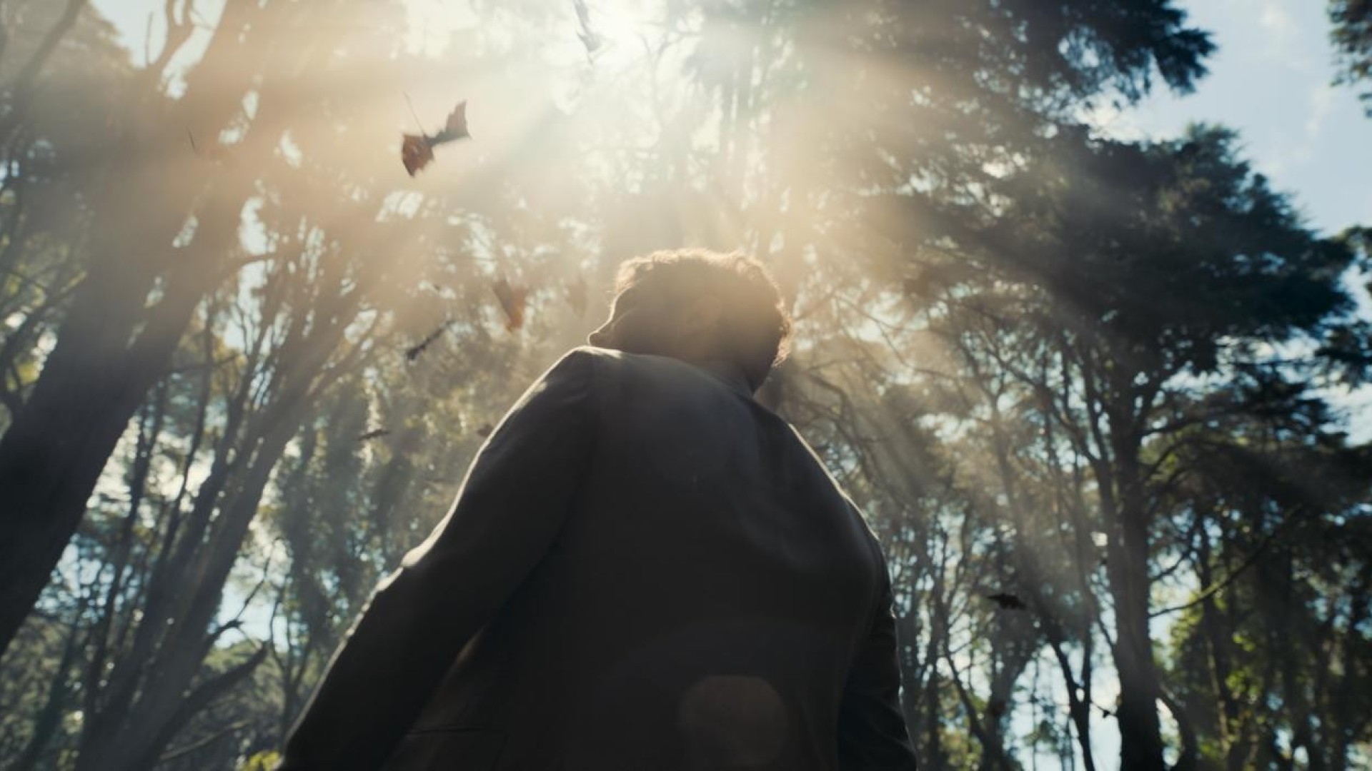 Portada de video Lexus