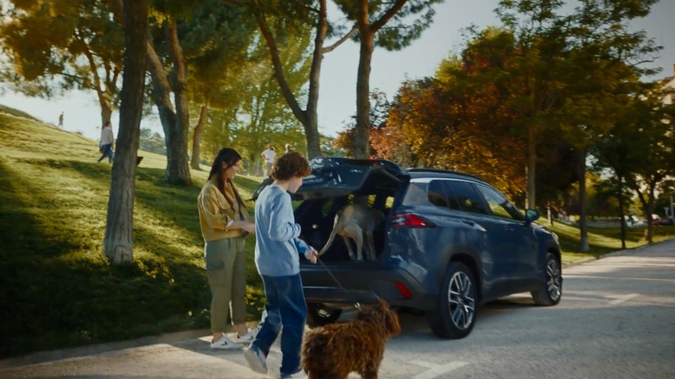 Still Toyota Cross 4