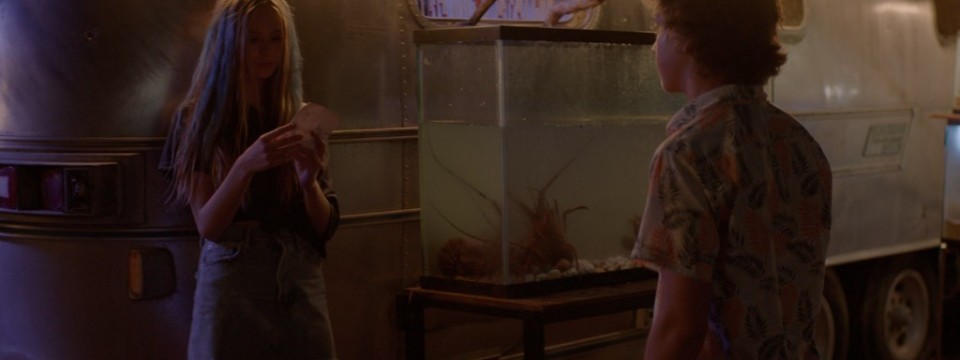 Still Tú eres mi problema 1